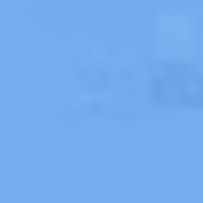 Website & Mobile App